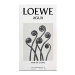 Loewe Agua Mar De Coral For Unisex EDT 150ml - Image 3