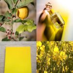 Hervé Gambs Eau Papaguna 50 ml - Image 2