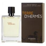 Hermes Terre D'Hermes Perfume For Men EDT 100ml