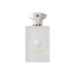 Amouage Decision Eau De Parfum For Unisex - Woody Aromatic Perfume 100ml
