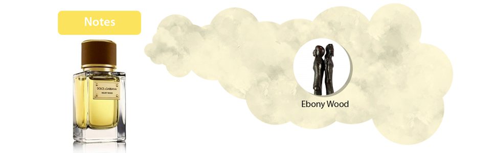 Dolce and Gabbana Velvet Wood for Men, 1.6 oz EDP Spray