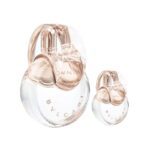 Bvlgari Omnia Crystalline For Women Set EDT 100ml + EDT 15ml