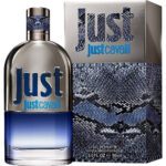Roberto Cavalli Just Cavalli Just For Men EDT 90ml - Image 2