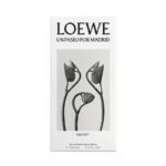 Loewe Un Paseo Por Madrid Mayrit For Unisex EDP 100ml - Image 3