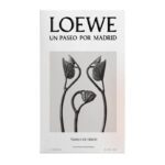 Loewe Un Paseo Por Madrid Templo De Debod For Unisex EDP 100ml - Image 3