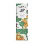 Loewe Paula'S Ibiza Eclectic For Unisex EDT 15ml - Image 3