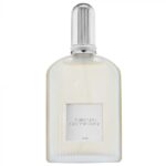 Tom Ford Grey Vetiver - perfume for men, EDP, 100 ml - Image 2
