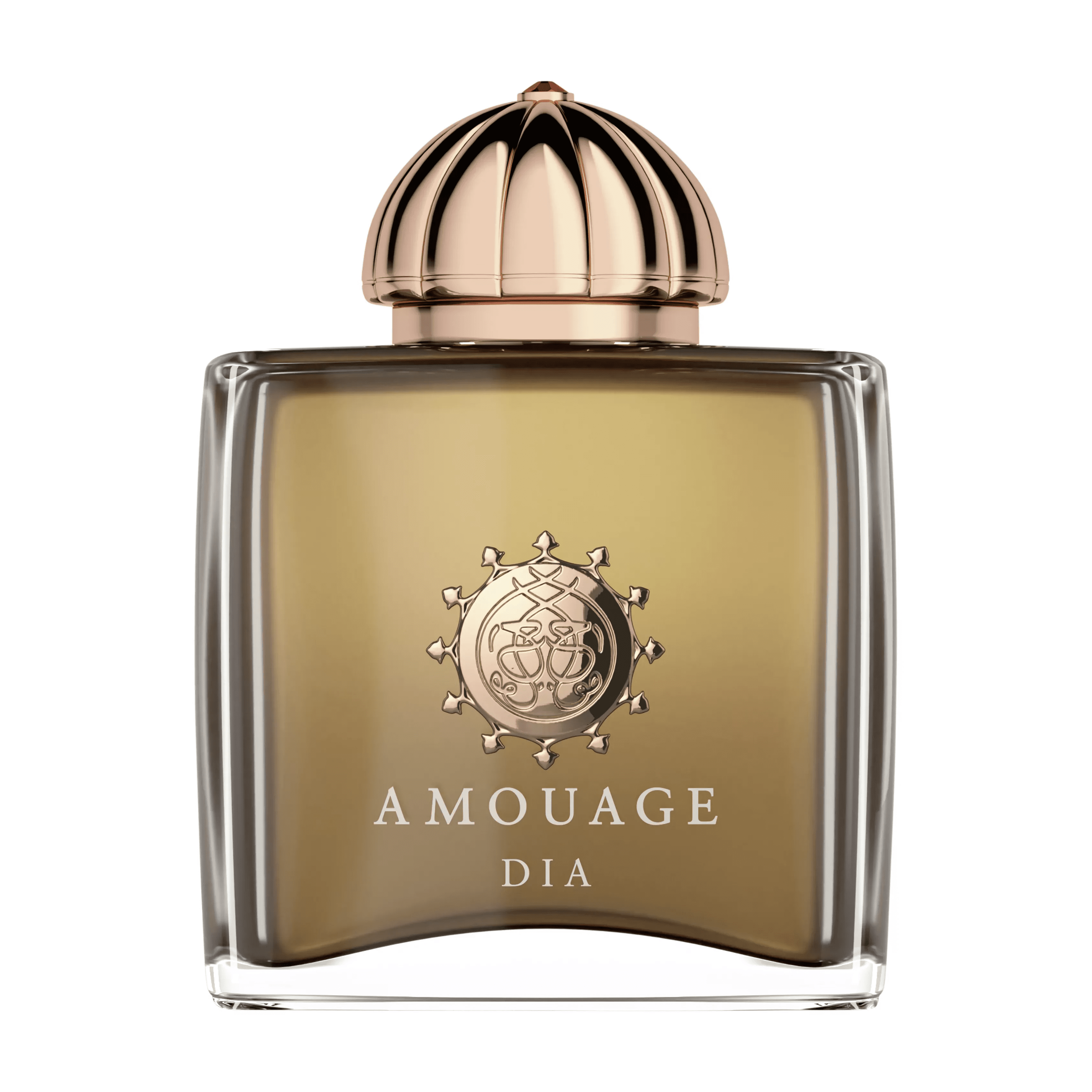 AmouageDiaForWoman_W_Edp100Ml Amouage Dia For Woman Perfume For Women EDP 100ml - Image 1