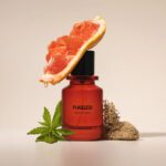 Fugazzi Nocologne - Image 2