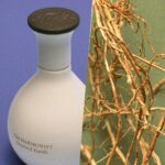 The Harmonist - Desired Earth Parfum - Image 2