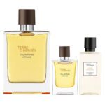Hermes Terre D'Hermes Eau Intense Vetiver Gift Set For Men