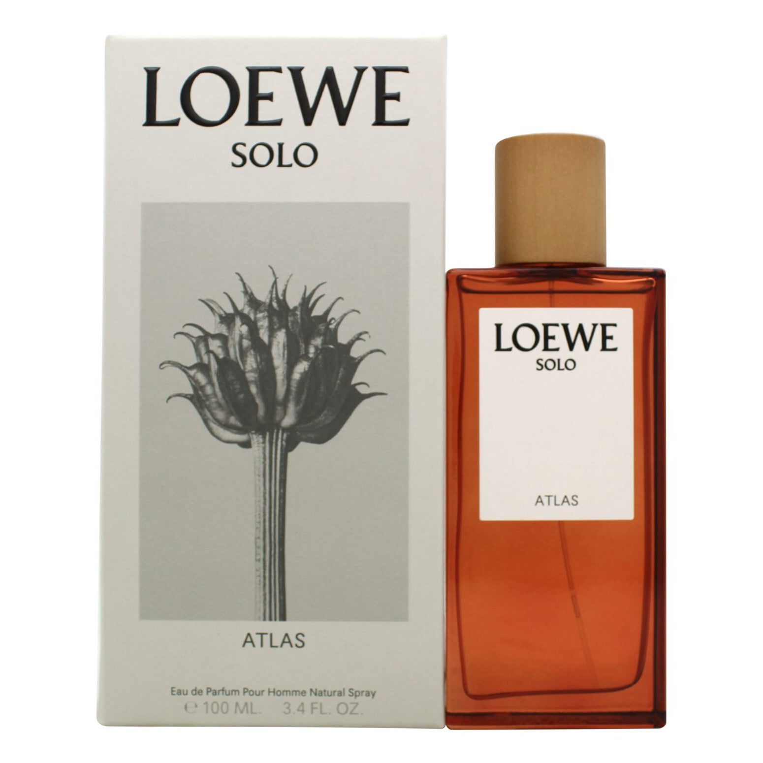 LoeweSoloAtlasPourHomme_M_Edp100Ml Loewe Solo Atlas Pour Homme Perfume For Men EDP 100ml - Image 1