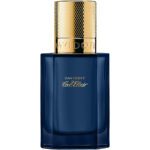 Davidoff Cool Elixir Oud Aromatique Parfum Intense For Men - Oriental Fougere Perfume 50ml