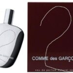 Comme des Garcon 2 for Unisex Eau de Parfum, 100ml