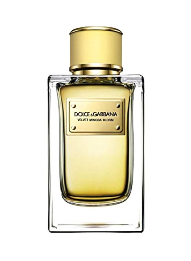 dolce_gabbana_velvet_mimosa_bloom_edp_50_ml_1 Dolce & Gabbana Velvet Mimosa Bloom Edp 50 ml - Image 1