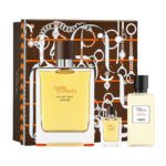 Terre D'hermes Vetiver Int. EDP 100ml + 5ml Mini+ 40ml Shower Gel Set