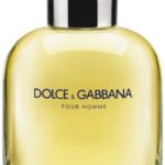 Dolce & Gabbana Pour Homme for Men - Eau de Toilette, 125ml