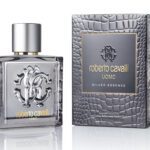 Silver Essence by Roberto Cavalli for Men - Eau de Toilette, 100 ml
