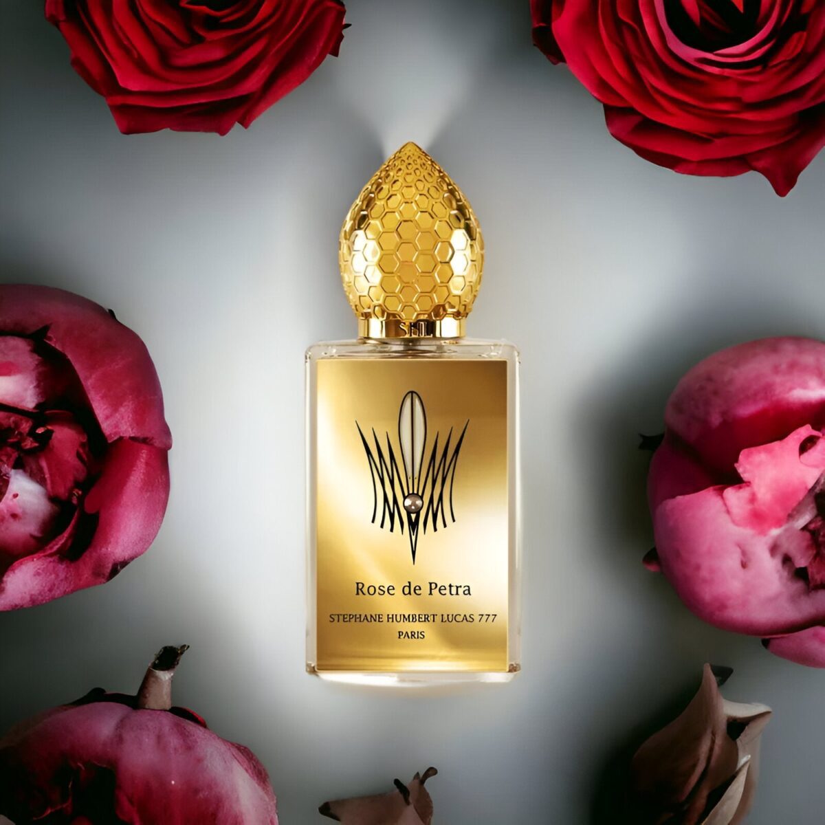 Stephane Humbert Lucas Rose De Petra EDP - Image 4