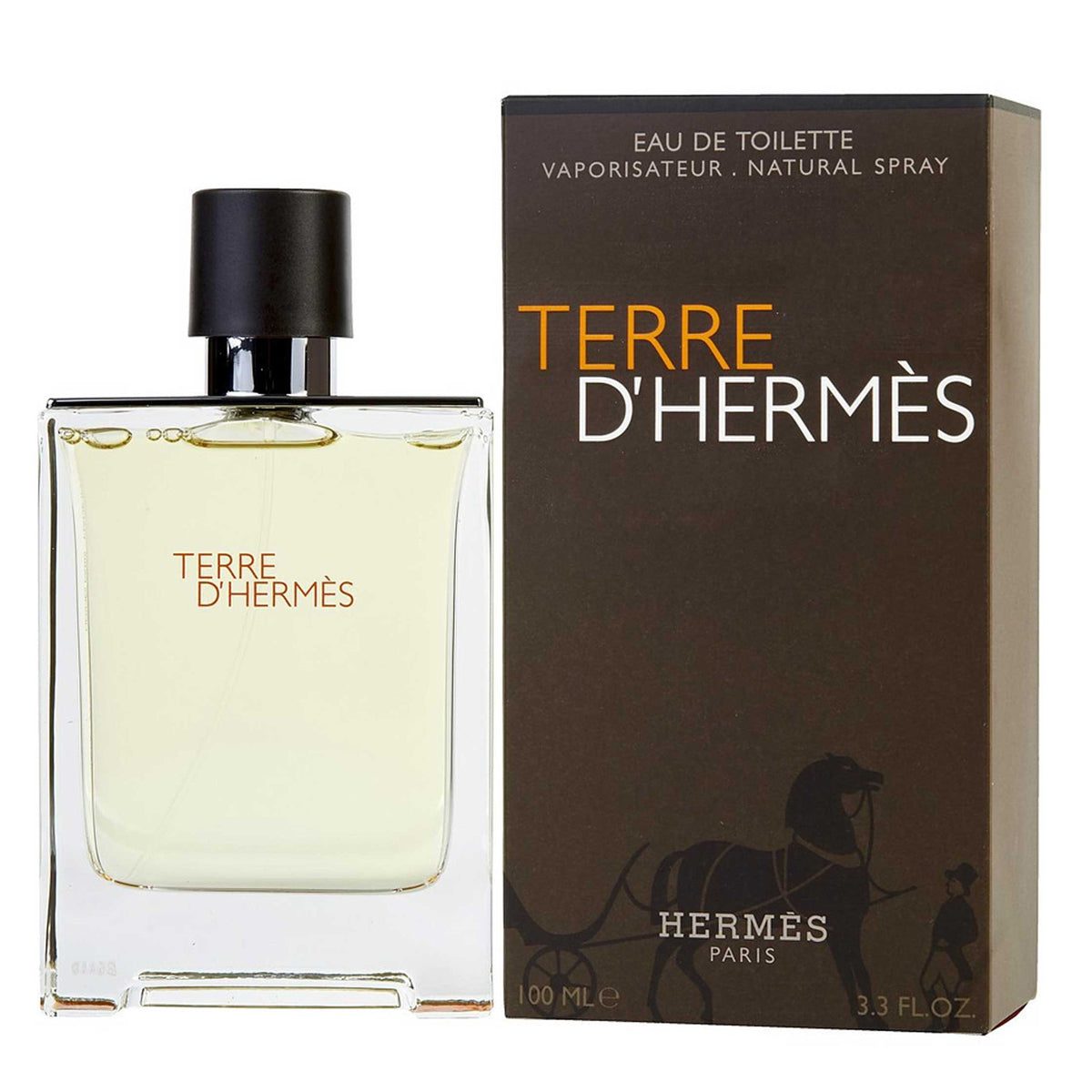 terre-d-hermes_100ml Hermes Terre D' Hermes for Men - Eau de Toillette, 100ml - Image 1