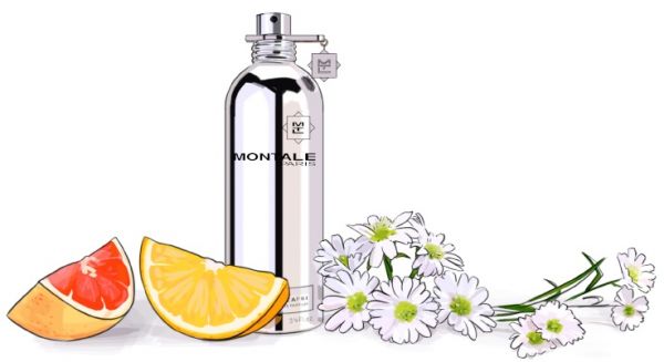 Montale Wood and Spices for Men - Eau de Parfum, 100ml - Image 2